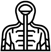 slide-4